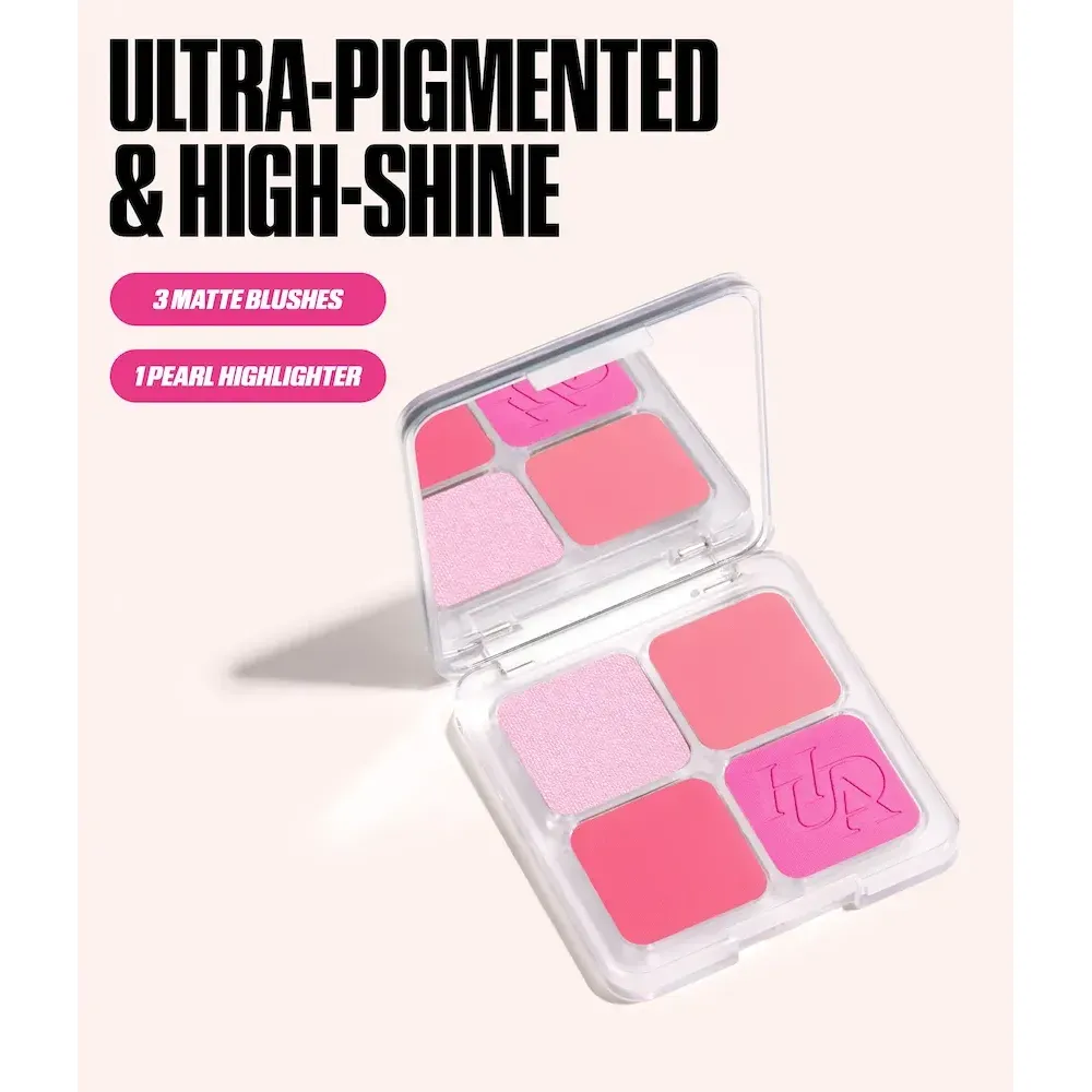 BABY PINK BLUSH FILTER KIT - Image 4